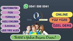 Fizik Özel Ders Amasya